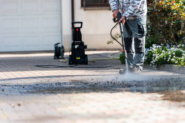 Best Roof Pressure Washing  in Seminole Manor, FL