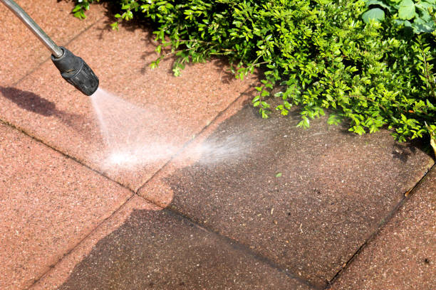 Best Power Washing Near Me  in Seminole Manor, FL